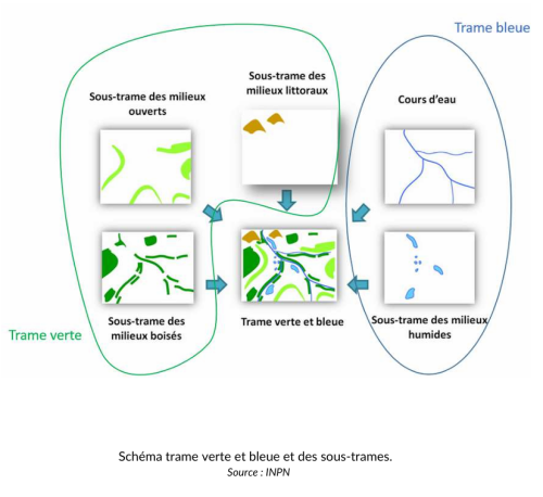 Schéma trame verte et bleue