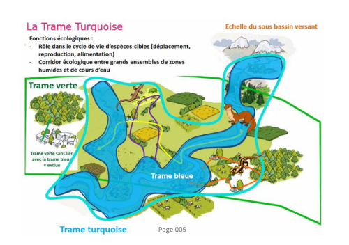Schéma de la trame turquoise