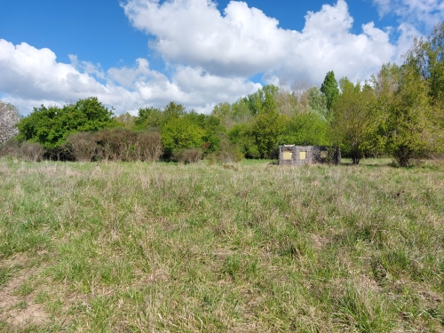 prairie en retard de fauche sur le territoire de la RNR Confluence Garonne-Ariège